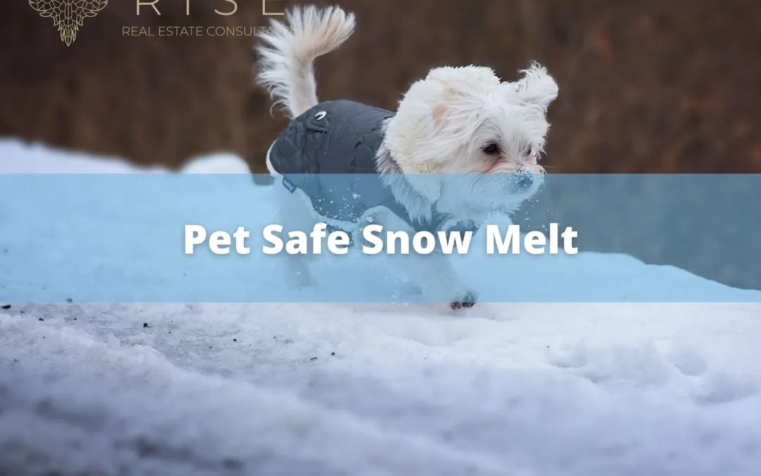 pet Snow Melt