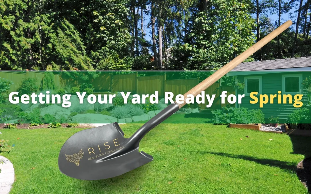 Get your Yard ready for spring