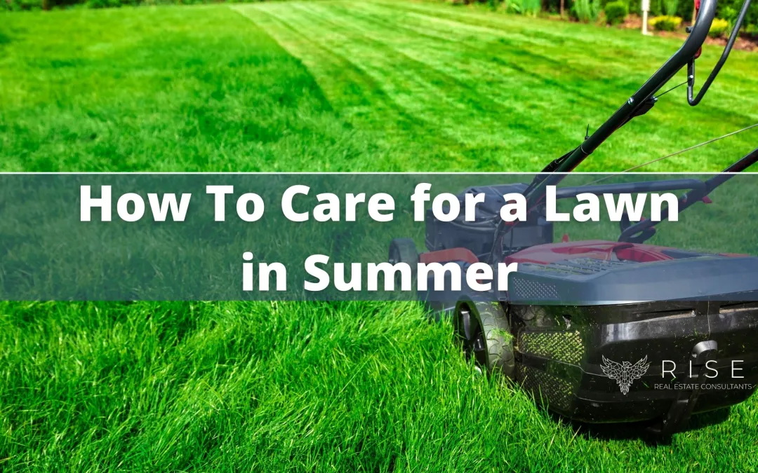 How-To-Care-for-a-Lawn-in-Summer